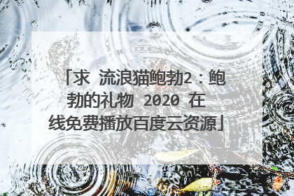求 流浪猫鲍勃2：鲍勃的礼物 2020 在线免费播放百度云资源