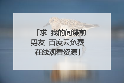 求 我的间谍前男友 百度云免费在线观看资源