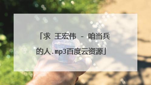 求 王宏伟 - 咱当兵的人.mp3百度云资源