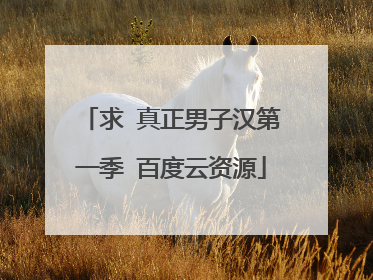 求 真正男子汉第一季 百度云资源