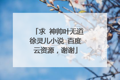 求 神帅叶无道徐灵儿小说 百度云资源，谢谢
