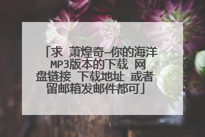 求 萧煌奇—你的海洋 MP3版本的下载 网盘链接 下载地址 或者留邮箱发邮件都可