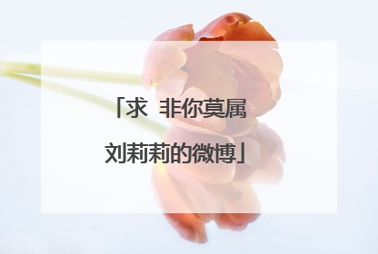 求 非你莫属 刘莉莉的微博