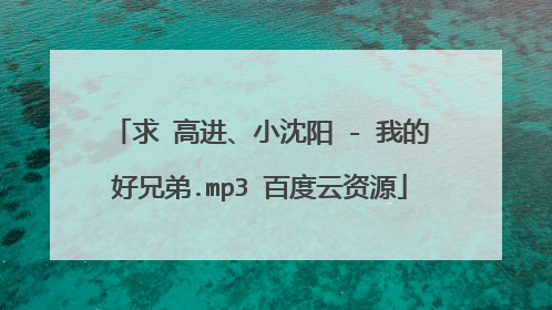 求 高进、小沈阳 - 我的好兄弟.mp3 百度云资源