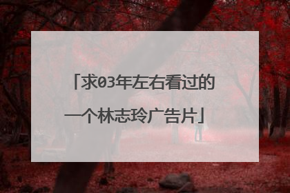 求03年左右看过的一个林志玲广告片