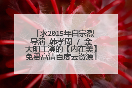 求2015年白宗烈导演 韩孝周 / 金大明主演的【内在美】免费高清百度云资源