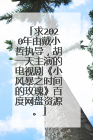求2020年由戴小哲执导，胡一天主演的电视剧《小风暴之时间的玫瑰》百度网盘资源。