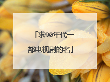 求90年代一部电视剧的名
