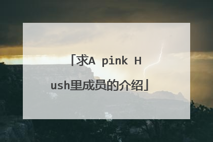 求A pink Hush里成员的介绍