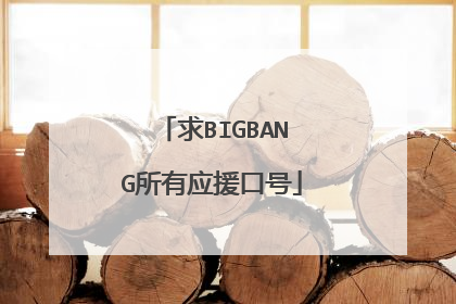 求BIGBANG所有应援口号