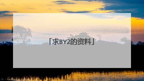 求BY2的资料
