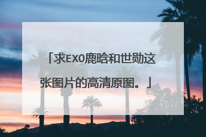 求EXO鹿晗和世勋这张图片的高清原图。