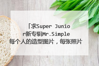 求Super Junior新专辑Mr.Simple每个人的造型图片，每张照片下标注每个人的名字哦。