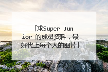 求Super Junior 的成员资料,最好代上每个人的图片