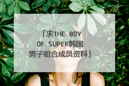 求THE BOY OF SUPER韩国男子组合成员资料