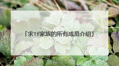 求Tf家族的所有成员介绍