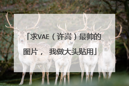 求VAE(许嵩)最帅的图片, 我做大头贴用
