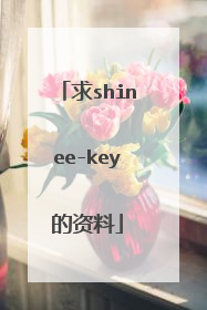 求shinee-key的资料
