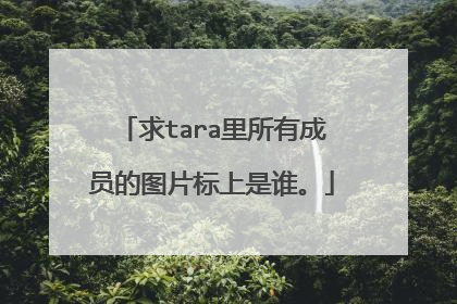 求tara里所有成员的图片标上是谁。