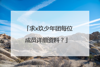 求x玖少年团每位成员详细资料?