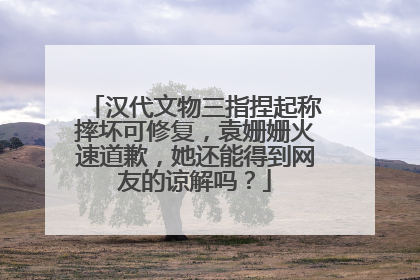 汉代文物三指捏起称摔坏可修复，袁姗姗火速道歉，她还能得到网友的谅解吗？