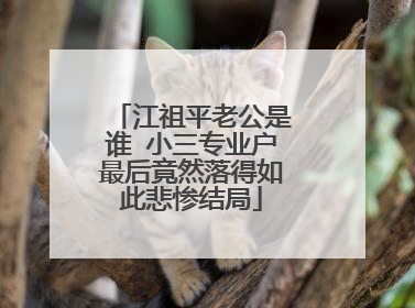 江祖平老公是谁 小三专业户最后竟然落得如此悲惨结局