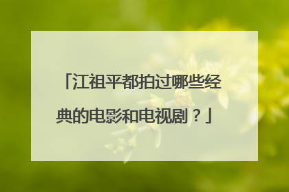 江祖平都拍过哪些经典的电影和电视剧？