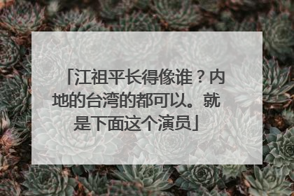 江祖平长得像谁？内地的台湾的都可以。就是下面这个演员