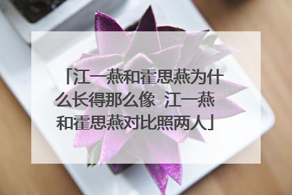 江一燕和霍思燕为什么长得那么像 江一燕和霍思燕对比照两人