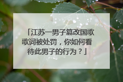 江苏一男子篡改国歌歌词被处罚,你如何看待此男子的行为?