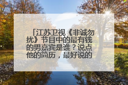 江苏卫视《非诚勿扰》节目中的最有钱的男嘉宾是谁？说点他的简历，最好说的详细一点！