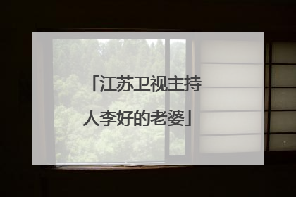 江苏卫视主持人李好的老婆