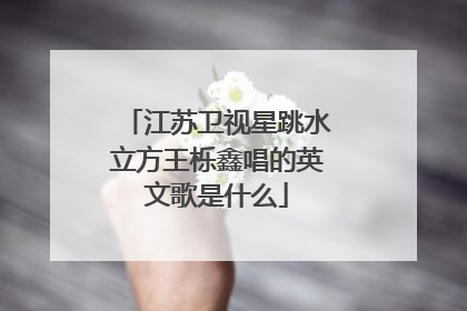 江苏卫视星跳水立方王栎鑫唱的英文歌是什么