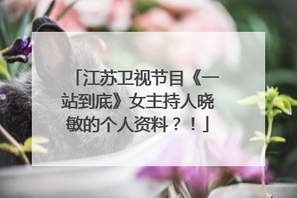 江苏卫视节目《一站到底》女主持人晓敏的个人资料？！