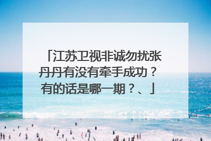 江苏卫视非诚勿扰张丹丹有没有牵手成功?有的话是哪一期?、