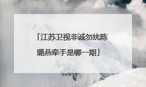 江苏卫视非诚勿扰陈璐燕牵手是哪一期