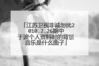 江苏卫视非诚勿扰2010.2.26期中于波个人资料时的背景音乐是什么曲子