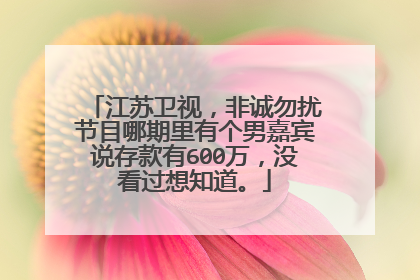 江苏卫视，非诚勿扰节目哪期里有个男嘉宾说存款有600万，没看过想知道。