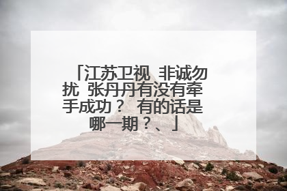 江苏卫视 非诚勿扰 张丹丹有没有牵手成功? 有的话是哪一期?、