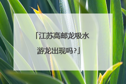 江苏高邮龙吸水游龙出现吗?