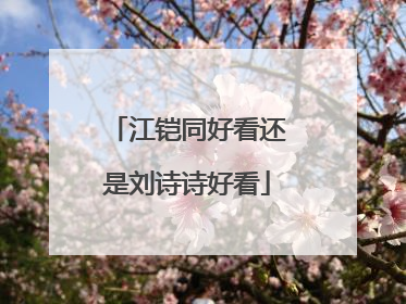 江铠同好看还是刘诗诗好看