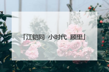 江铠同 小时代 顾里