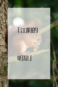 江阴的明星