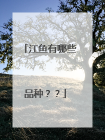 江鱼有哪些品种??