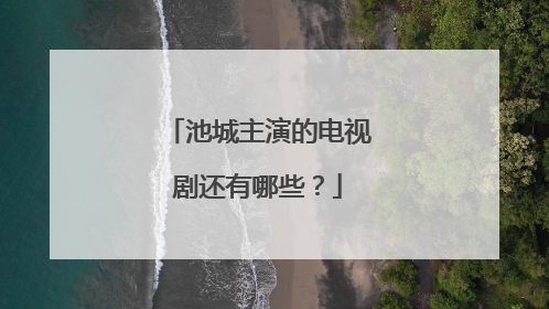 池城主演的电视剧还有哪些？