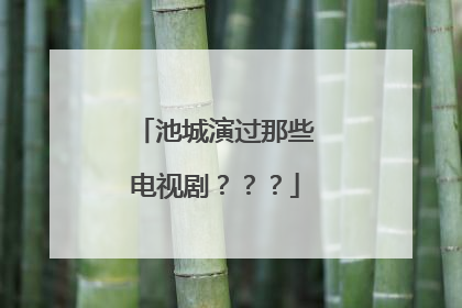 池城演过那些电视剧？？？