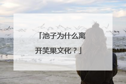 池子为什么离开笑果文化？