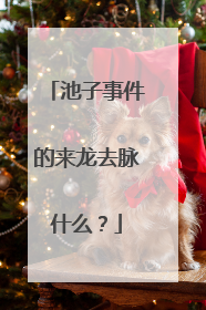 池子事件的来龙去脉什么？