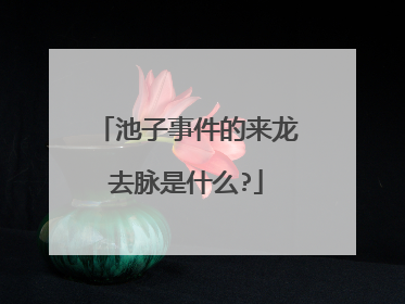 池子事件的来龙去脉是什么?