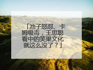 池子怒怼、卡姆吸毒,王思聪看中的笑果文化就这么没了?